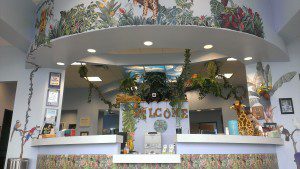 The jungle themed entrance to Stone Oak Pediatric Dentistry.