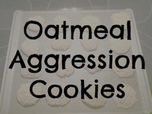oatmeal aggression cookies
