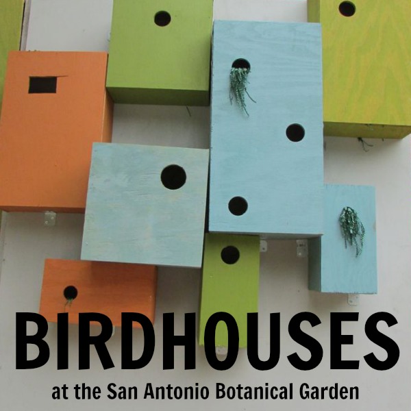 Birdhouses at the San Antonio Botanical Garden | Alamo City Moms Blog