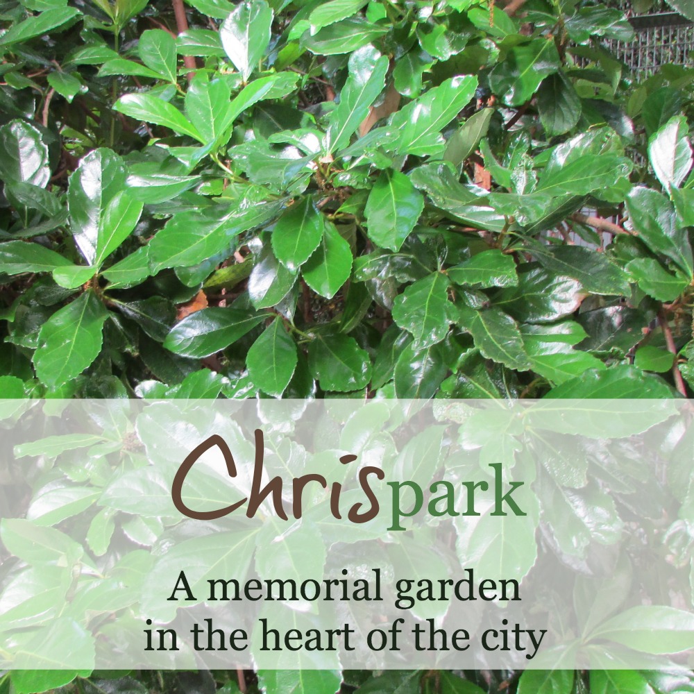 CHRISpark: A memorial garden in the heart of the city | Alamo City Moms Blog
