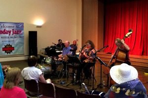 Small World Jazz at the Witte Museum | Alamo City Moms Blog