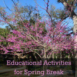 Follow your kids' passions with educational activities for Spring Break | Alamo City Moms Blog