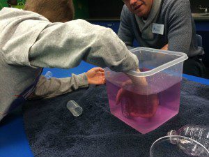 Pint-Sized Science at the San Antonio Children's Museum
