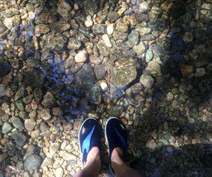 Wading in the creek at the Cibolo Nature Center | Alamo City Moms Blog
