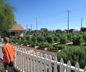 Children's Vegetable Garden Program at the San Antonio Botanical Garden | Alamo City Moms Blog
