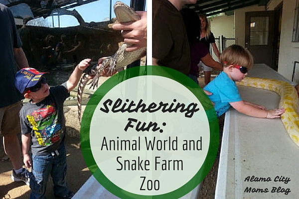 Slithering Fun Animal World And Snake Farm Zoo