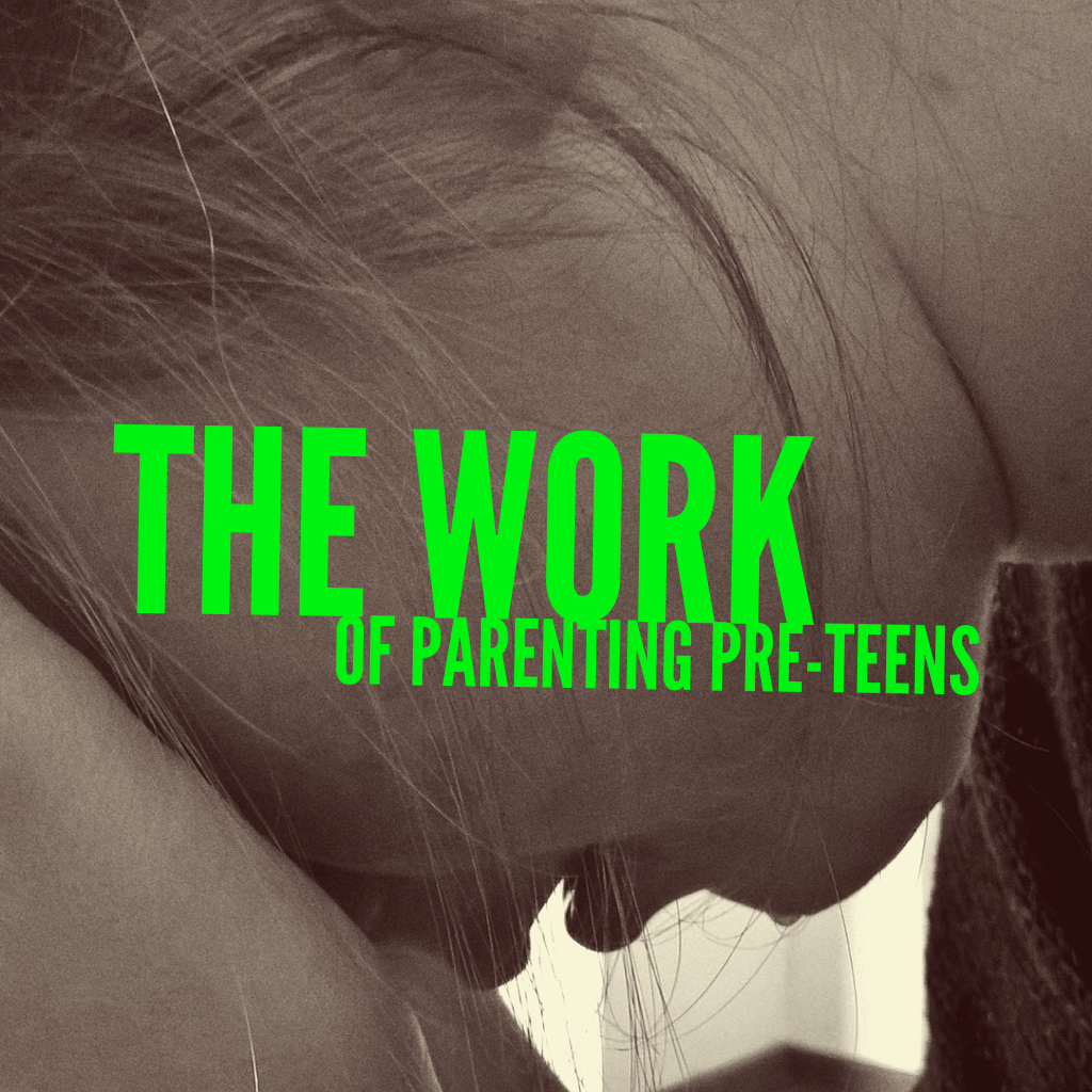 Are you parenting a pre teen and don't know which way is up? Check out this mom's approach.