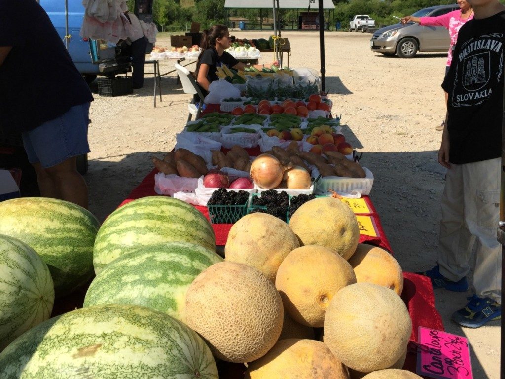 Fresh fruits and veggies at the San Antonio Farmers Market in Olmos Basin | Alamo City Moms Blog