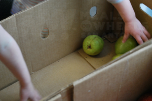 ACMB Cares Meals on Wheels San Antonio Apples