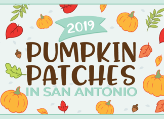 2019 pumpkin patches in san antonio