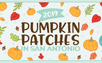 2019 pumpkin patches in san antonio