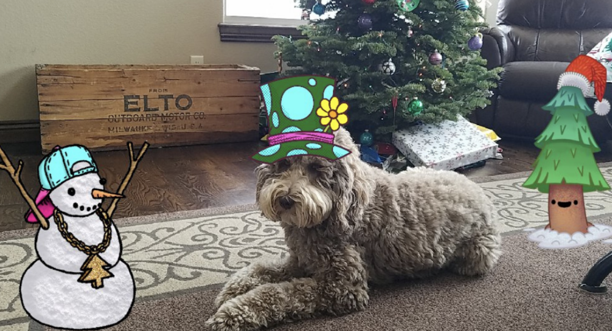 messenger kids face and scene filters work on the family pets