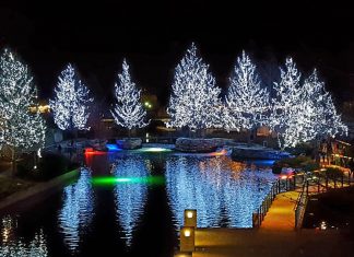 trees in white lights reflecting in a lake