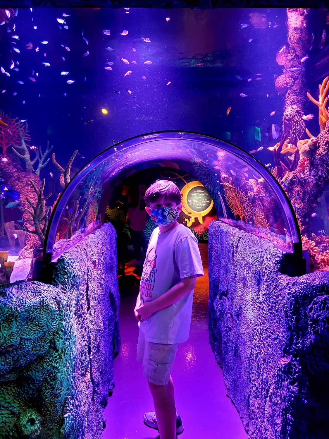 Have A Tunnel Of Fun At SEA LIFE San Antonio Aquarium   20210522 202319 1125x1500 