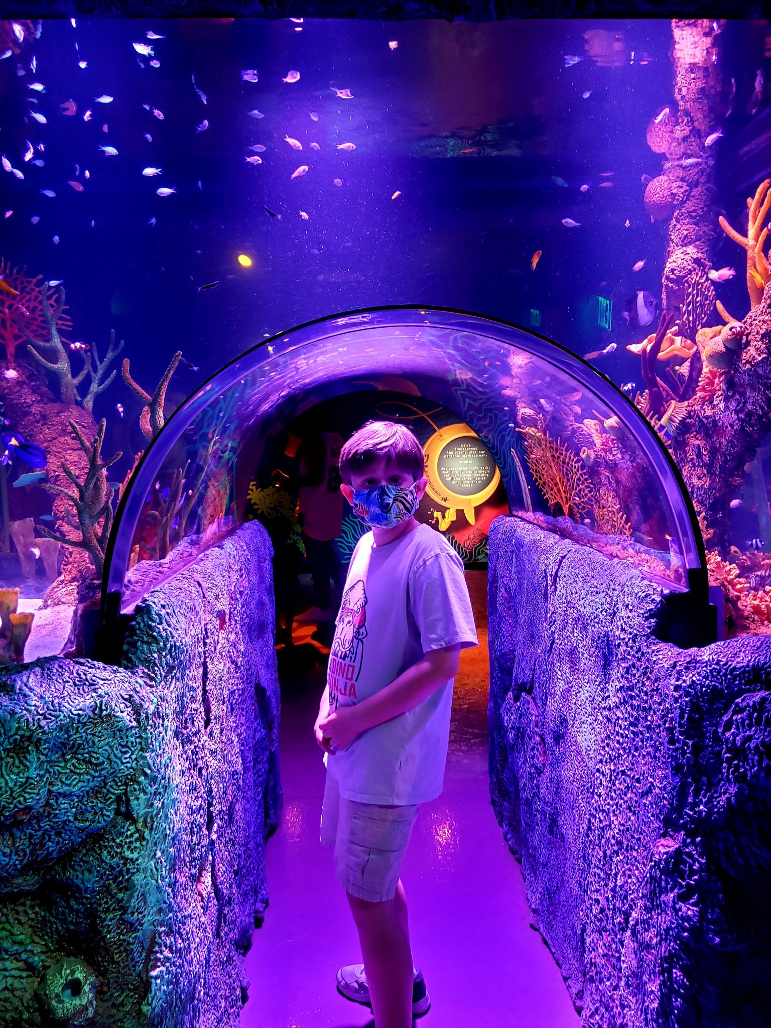 Have A Tunnel Of Fun At SEA LIFE San Antonio Aquarium   20210522 202319 1536x2048 