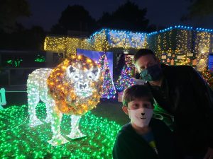 a lion in lights at the zoo