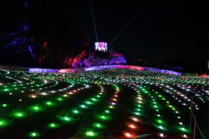 lights on the lawn at the San Antonio Botanical Garden