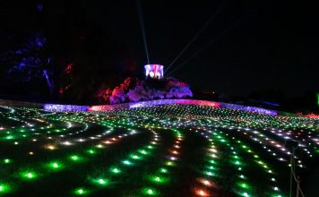 lights on the lawn at the San Antonio Botanical Garden
