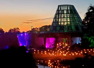 lights in sunset at the botanical garden