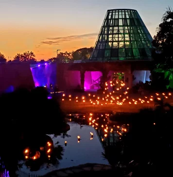 lights in sunset at the botanical garden