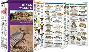 texas wildlife pocket guide