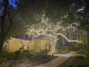 white lights on a tree in a garden