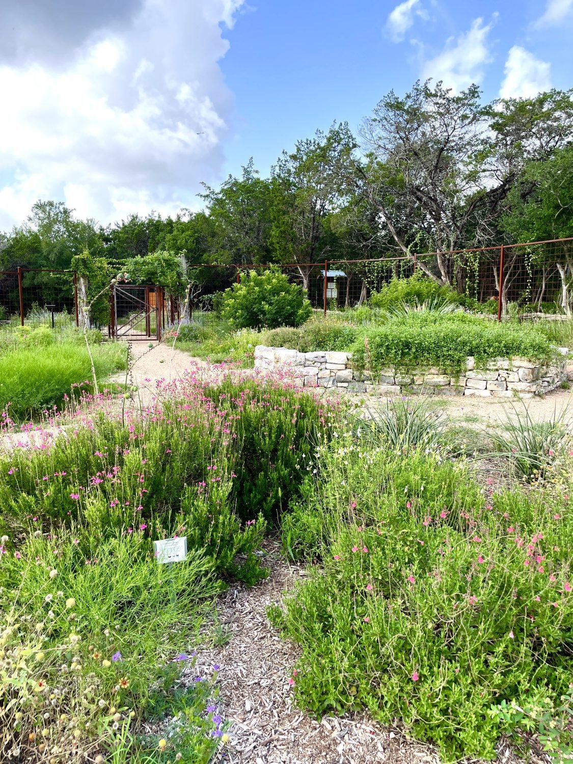 Wildscape demonstration garden