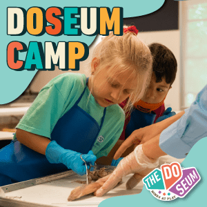 Summer Camp Guide 2023 - DoSeum
