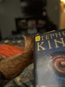 the cover of a book and an orange cat in the background