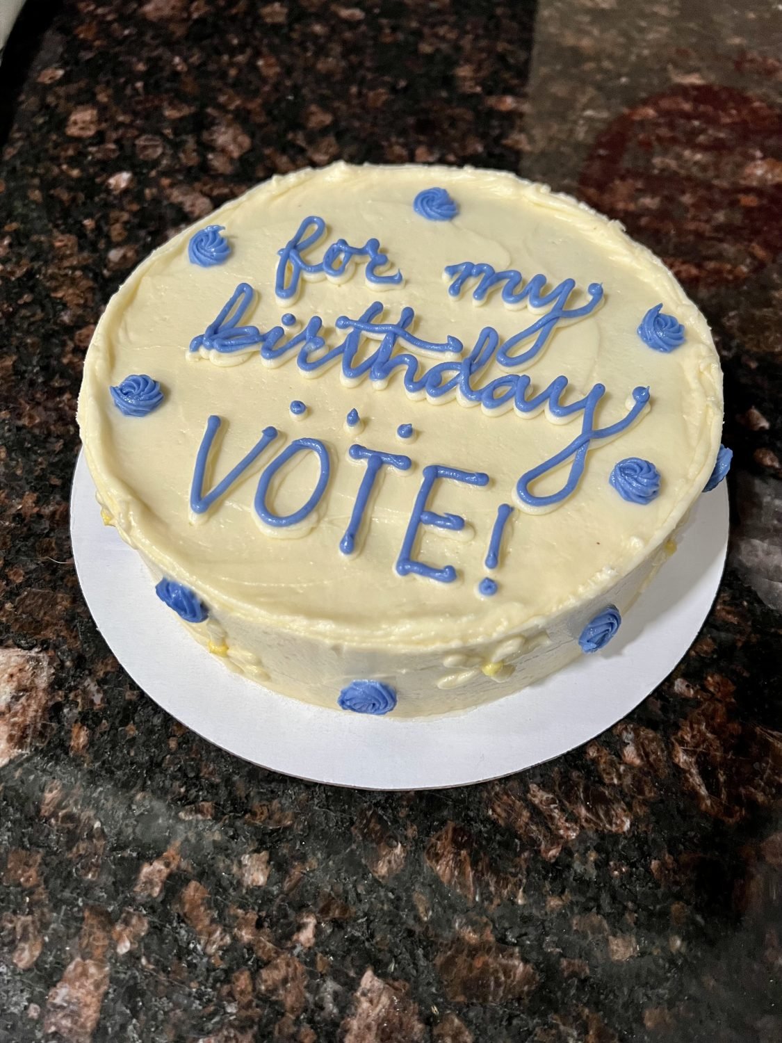 Round cake on a kitchen counter. The cake is white frosting with blue flowers and blue font saying “for my birthday VOTE!”