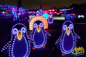 Singing Penguins in the Lights Alive San Antonio Christmas Light Show