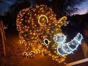 a rhino made out of christmas lights