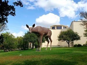 a deer sculpture on the grounds of the McNay
