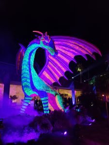 large dragon in neon lights at night