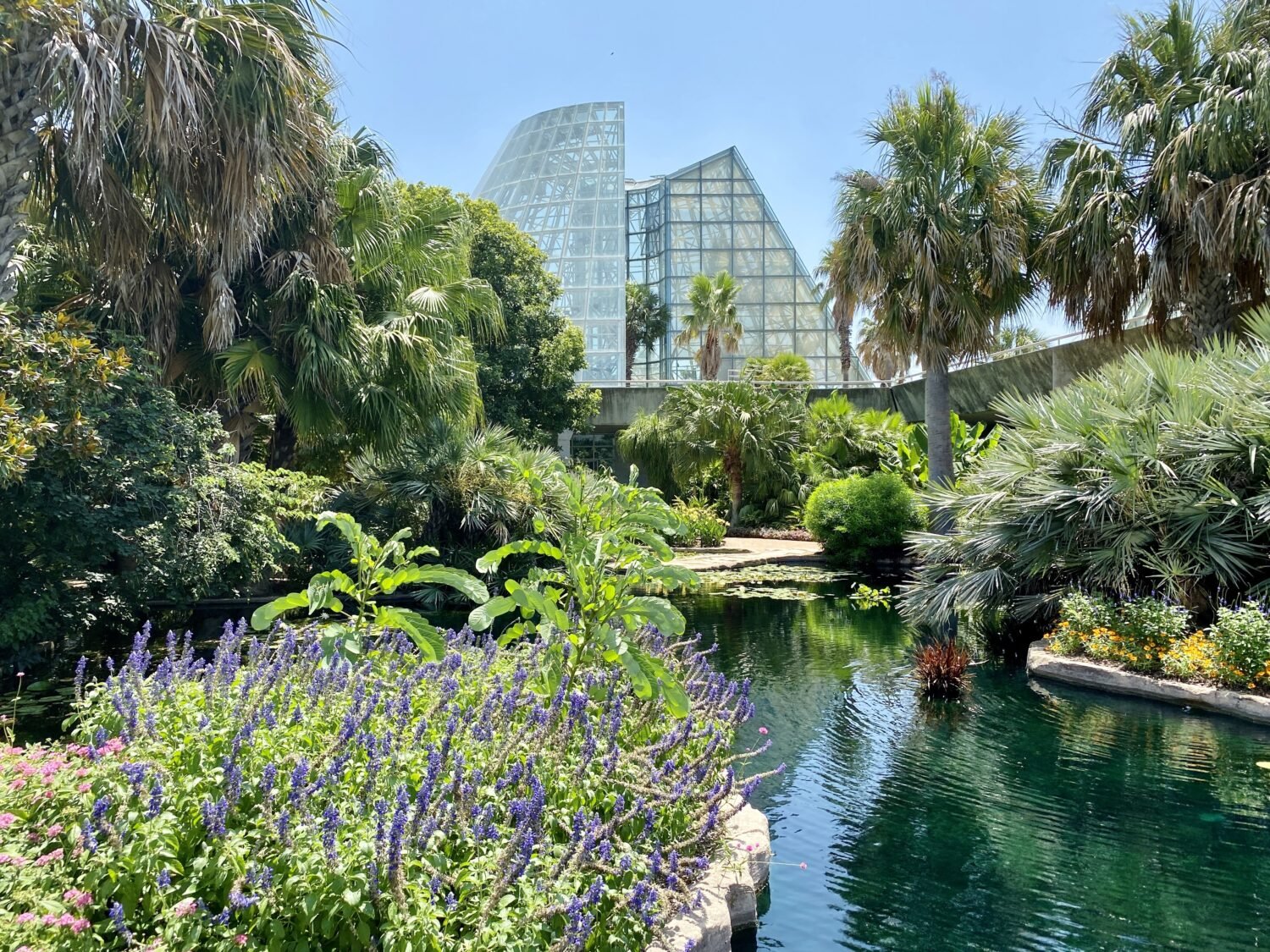 flowers and a pond in front of a glass conservatory with palm trees