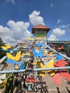 butterflies above the San Antonio Zoo